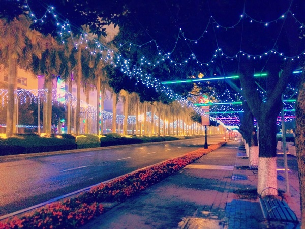 夜景一角:中山興中道亮化成星光道