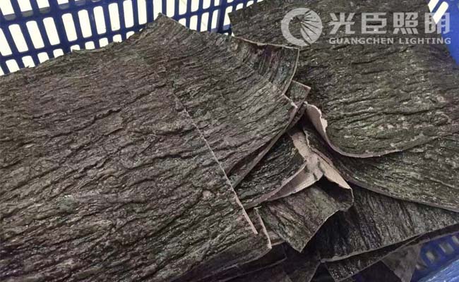 照樹燈 照樹燈