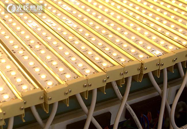 LED線條燈 LED線條燈