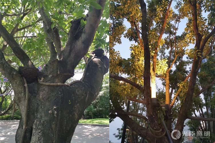 鳥巢投光燈 鳥巢投光燈