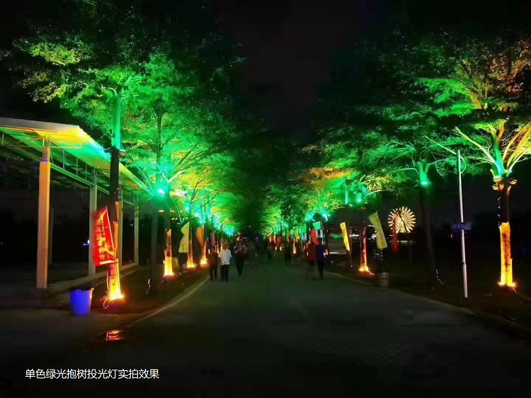 光臣RGBW投光燈 光臣RGBW投光燈